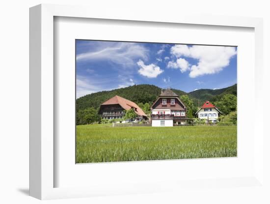 Black Forest Houses, Gutachtal Valley, Black Forest, Baden Wurttemberg, Germany, Europe-Markus Lange-Framed Photographic Print