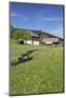 Black Forest houses in Urach, Urachtal, Black Forest, Baden-Wurttemberg, Germany-Markus Lange-Mounted Photographic Print