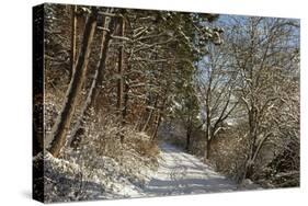 Black Forest in Winter, Near Villingen-Schwenningen, Baden-Wurttemberg, Germany, Europe-Jochen Schlenker-Stretched Canvas