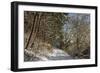 Black Forest in Winter, Near Villingen-Schwenningen, Baden-Wurttemberg, Germany, Europe-Jochen Schlenker-Framed Photographic Print