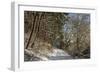 Black Forest in Winter, Near Villingen-Schwenningen, Baden-Wurttemberg, Germany, Europe-Jochen Schlenker-Framed Photographic Print