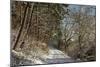 Black Forest in Winter, Near Villingen-Schwenningen, Baden-Wurttemberg, Germany, Europe-Jochen Schlenker-Mounted Photographic Print