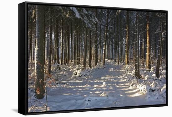 Black Forest in Winter-Jochen Schlenker-Framed Stretched Canvas