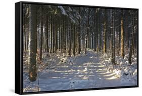 Black Forest in Winter-Jochen Schlenker-Framed Stretched Canvas