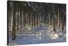 Black Forest in Winter-Jochen Schlenker-Stretched Canvas
