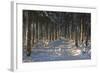 Black Forest in Winter-Jochen Schlenker-Framed Photographic Print