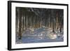 Black Forest in Winter-Jochen Schlenker-Framed Photographic Print