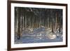 Black Forest in Winter-Jochen Schlenker-Framed Photographic Print