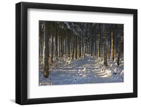 Black Forest in Winter-Jochen Schlenker-Framed Photographic Print