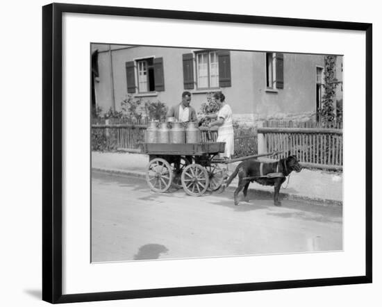 Black Forest Milk Cart-null-Framed Photographic Print