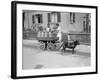 Black Forest Milk Cart-null-Framed Photographic Print