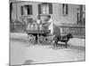 Black Forest Milk Cart-null-Mounted Photographic Print