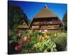 Black Forest Museum Germany-null-Stretched Canvas