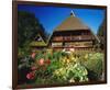 Black Forest Museum Germany-null-Framed Art Print