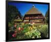 Black Forest Museum Germany-null-Framed Art Print