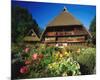 Black Forest Museum Germany-null-Mounted Art Print