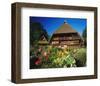 Black Forest Museum Germany-null-Framed Art Print