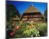 Black Forest Museum Germany-null-Mounted Art Print