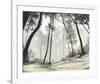 Black Forest-S^ Garrett-Framed Giclee Print