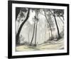 Black Forest-Steven Garrett-Framed Art Print