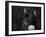 Black French Bulldog Portrait-Jai Johnson-Framed Giclee Print