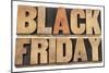 Black Friday-PixelsAway-Mounted Art Print