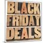 Black Friday-PixelsAway-Mounted Art Print