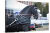 Black Friesian Horse Carriage Driving-olgaru79-Stretched Canvas