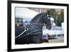 Black Friesian Horse Carriage Driving-olgaru79-Framed Photographic Print