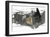 Black Gesture I-PI Studio-Framed Art Print