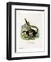 Black Giant Squirrel-null-Framed Giclee Print