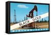 Black Gold, Midland, Texas-null-Framed Stretched Canvas