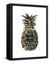 Black Gold Pineapple-Amanda Greenwood-Framed Stretched Canvas