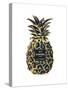 Black Gold Pineapple-Amanda Greenwood-Stretched Canvas