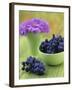 Black Grapes in a Bowl-Vladimir Shulevsky-Framed Photographic Print