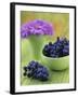 Black Grapes in a Bowl-Vladimir Shulevsky-Framed Photographic Print