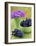 Black Grapes in a Bowl-Vladimir Shulevsky-Framed Photographic Print