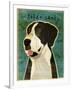 Black Great Dane No Crop-John W Golden-Framed Giclee Print