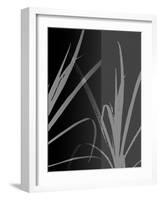 Black Grey Palm-Ruth Palmer-Framed Art Print