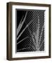 Black Grey Palm-Ruth Palmer-Framed Art Print