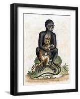 Black Guinea Monkey-George Edwards-Framed Art Print
