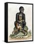 Black Guinea Monkey-George Edwards-Framed Stretched Canvas