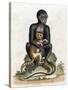 Black Guinea Monkey-George Edwards-Stretched Canvas