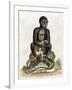 Black Guinea Monkey-George Edwards-Framed Art Print