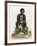 Black Guinea Monkey-George Edwards-Framed Art Print