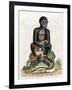 Black Guinea Monkey-George Edwards-Framed Art Print