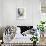 Black Hawthorn Stripe-Sarah Cheyne-Framed Giclee Print displayed on a wall