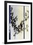 Black Hawthorn Stripe-Sarah Cheyne-Framed Giclee Print