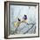 Black-Headed Gouldian Finch Pair-null-Framed Photographic Print