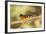 Black-Headed Grosbeak-Joe McDonald-Framed Photographic Print